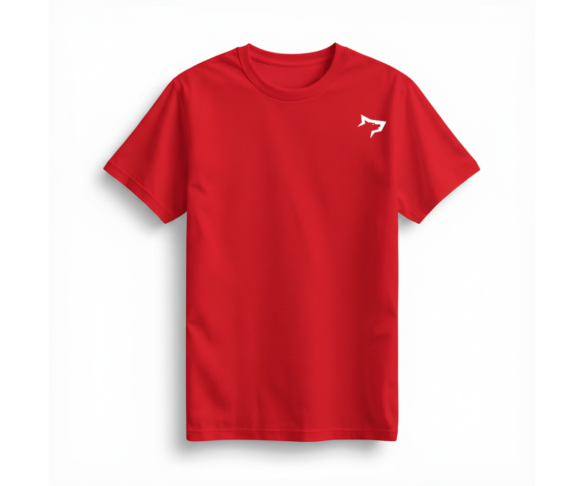 Basic kadın Tshirt - Genel