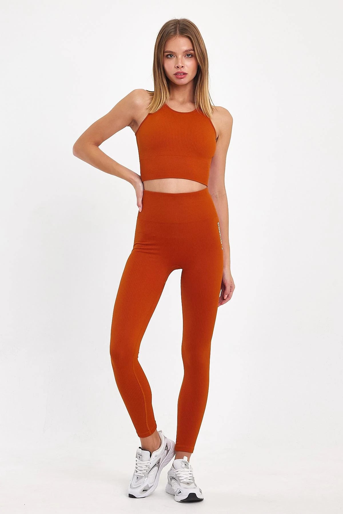 Gymwolves Seamless Leggings
