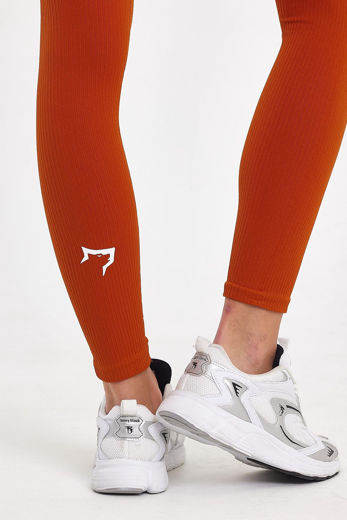 Gymwolves Seamless Leggings