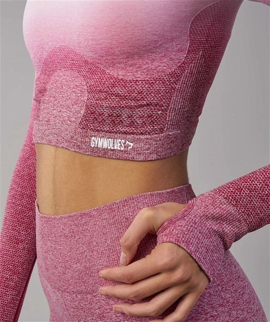 Gymwolves Women's Long Sleeve Seamless Sports T-Shirt Powder Grey