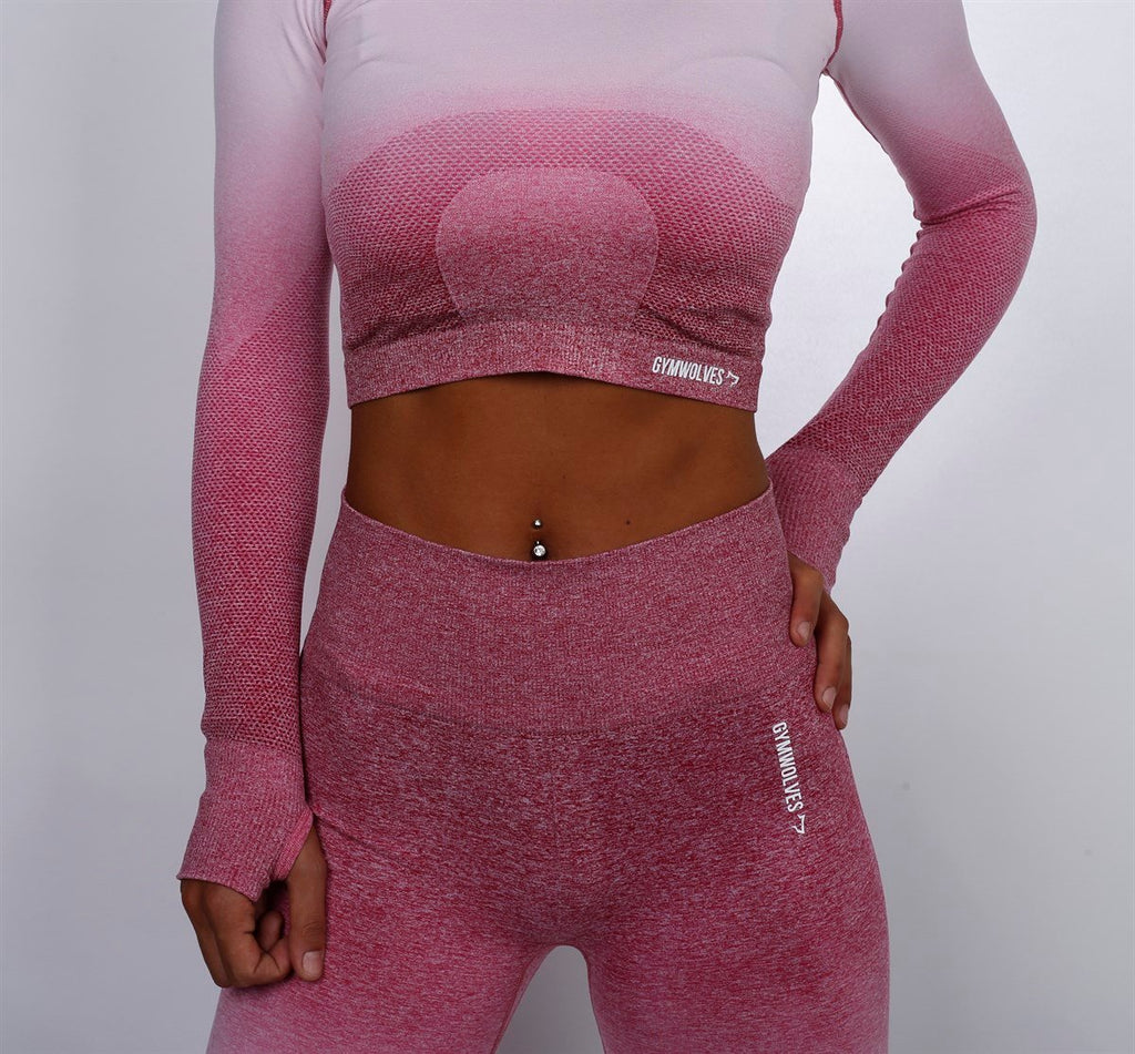 Gymwolves Women's Long Sleeve Seamless Sports T-Shirt Powder Grey